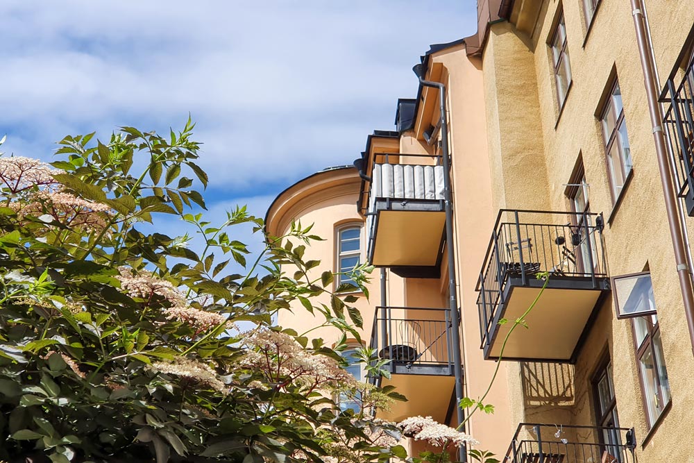Fasad på ett lägenhetshus med balkonger och en buske i förgrunden